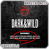 cd-bangtanboysdarkandwild