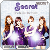 cd-secrettwinkletwinkle
